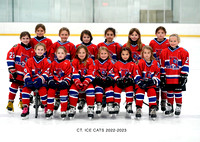 Ice Cats Red