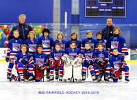 Mid Fairfield Hockey 2018-2019 09's