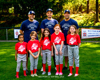 Red Wings